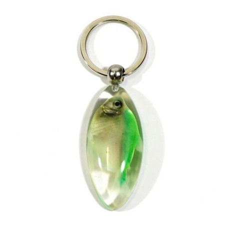 ED SPELDY EAST Ed Speldy East Company FIK103 Real Bug Green Skirt Tropical Fish Key Chain - Clear; Oval FIK103